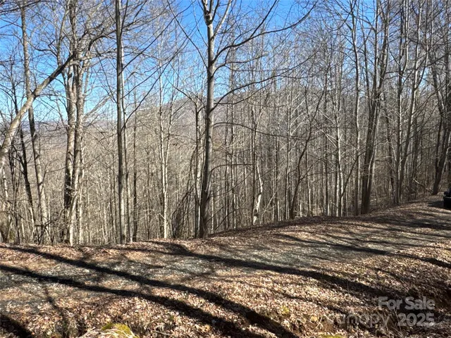 a view of a backyard of the house