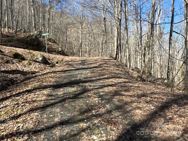 a view of house with yard