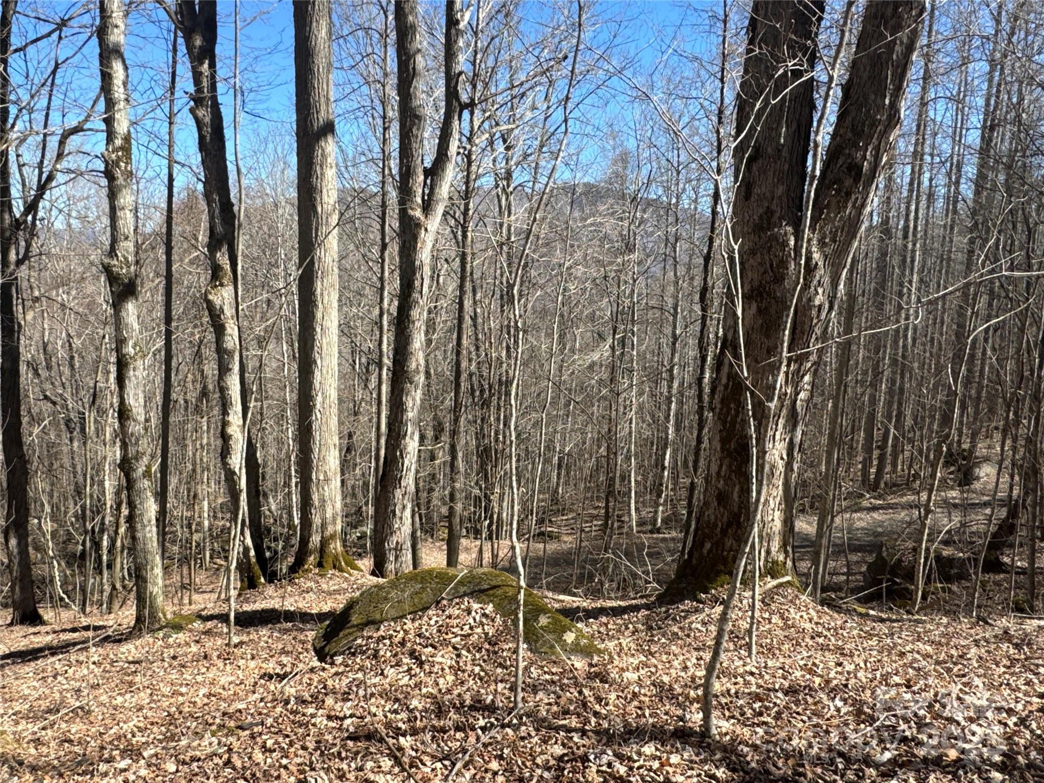 0 Beech Thicket Springs Road, Unit 41 Bakersville, NC 28705 - Photo 5 of 22 a backyard of a house with lots of green space