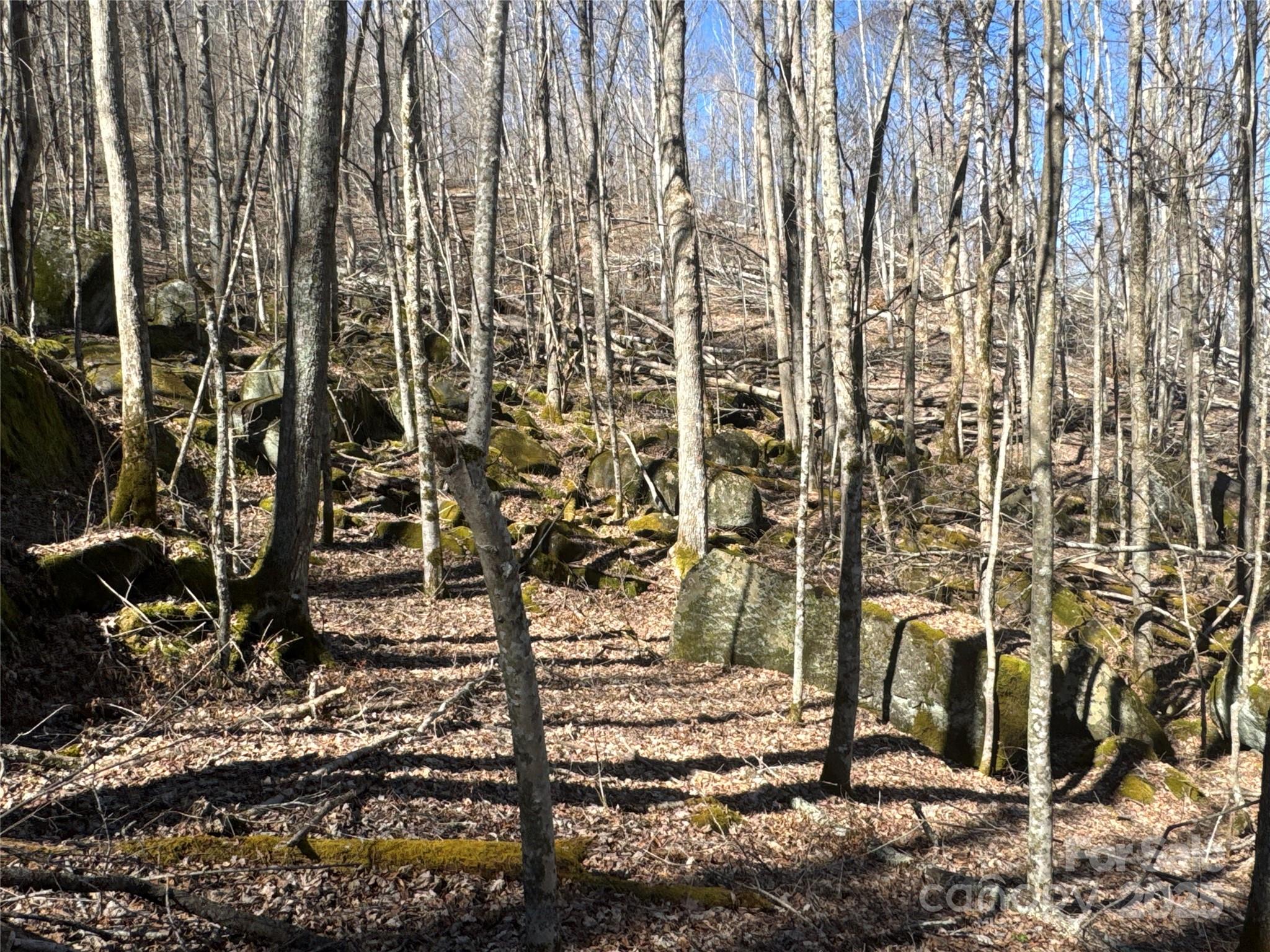 0 Beech Thicket Springs Road, Unit 41 Bakersville, NC 28705 - Photo 7 of 22 a bathroom with a shower