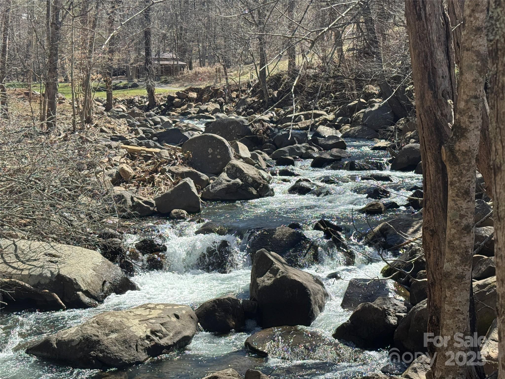 0 Beech Thicket Springs Road, Unit 41 Bakersville, NC 28705 - Photo 10 of 22