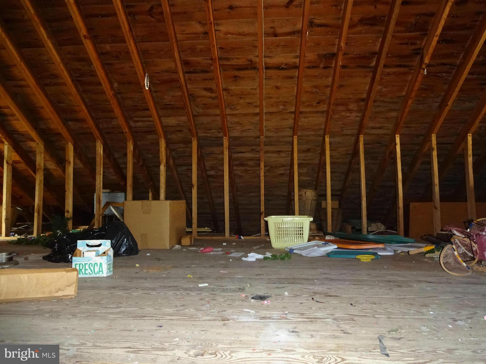 209 Crusader Road Cambridge, MD 21613 - Photo 19 of 30 Attic