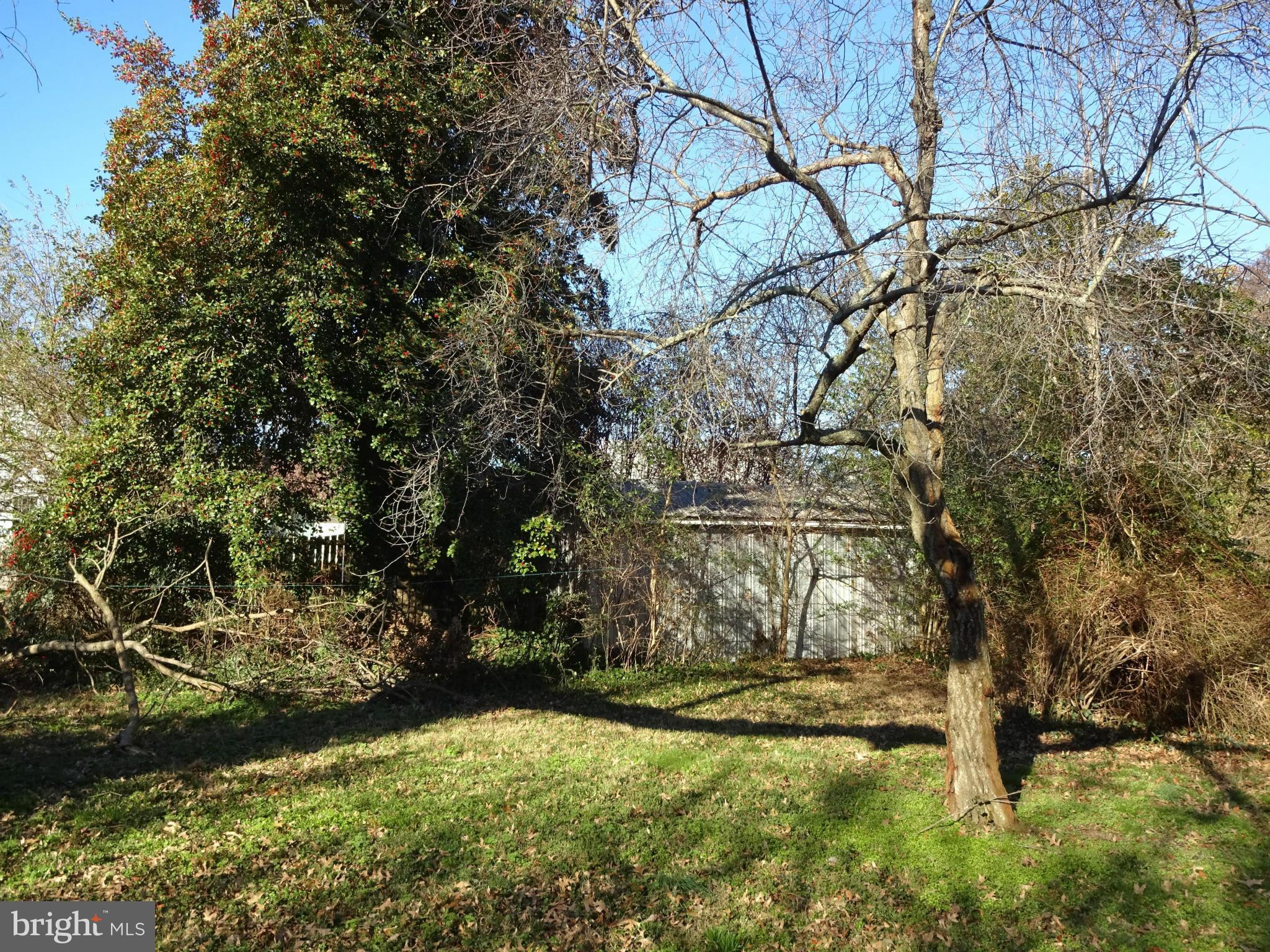 209 Crusader Road Cambridge, MD 21613 - Photo 23 of 30 Back Yard