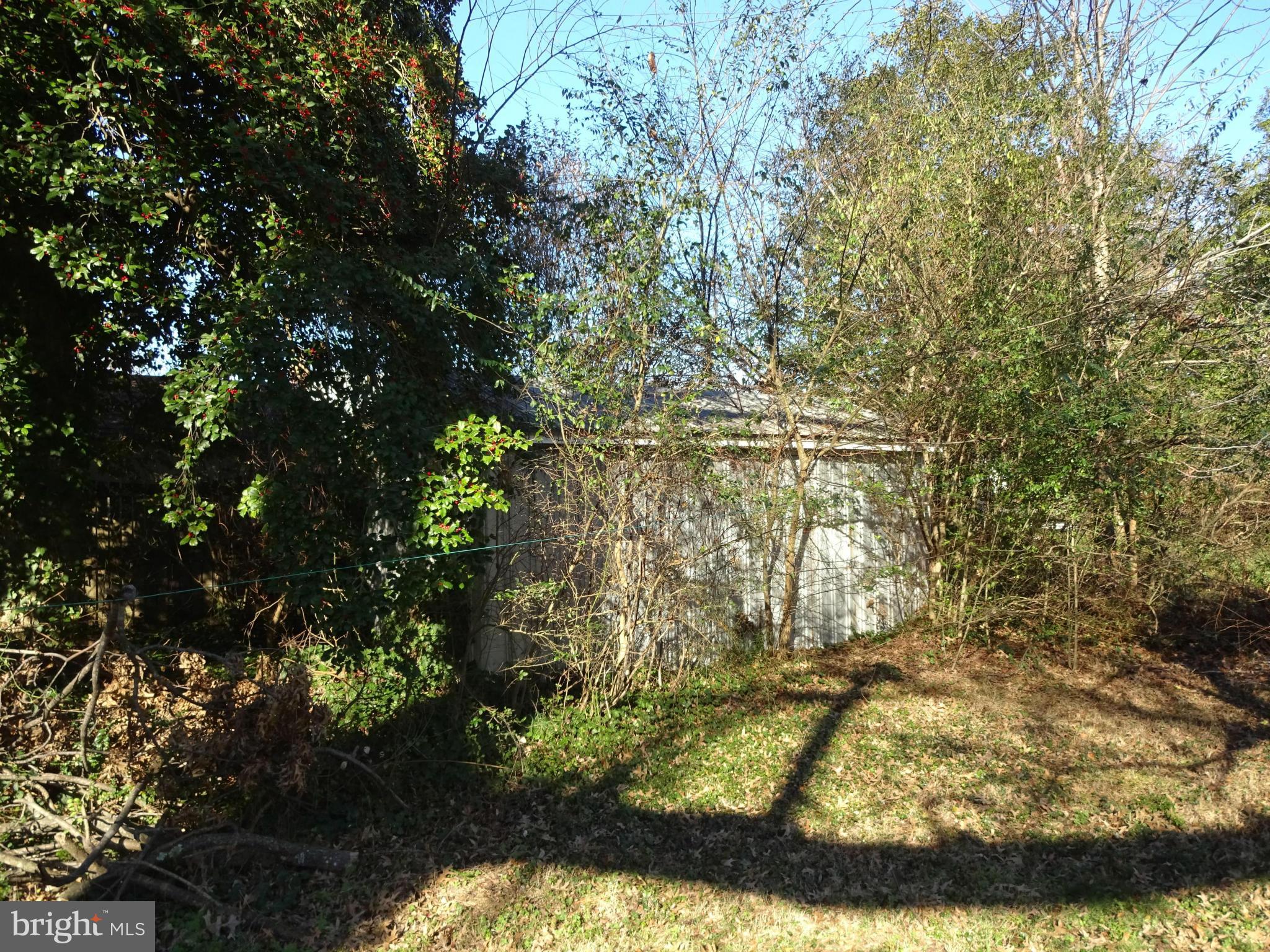 209 Crusader Road Cambridge, MD 21613 - Photo 24 of 30 Back Yard