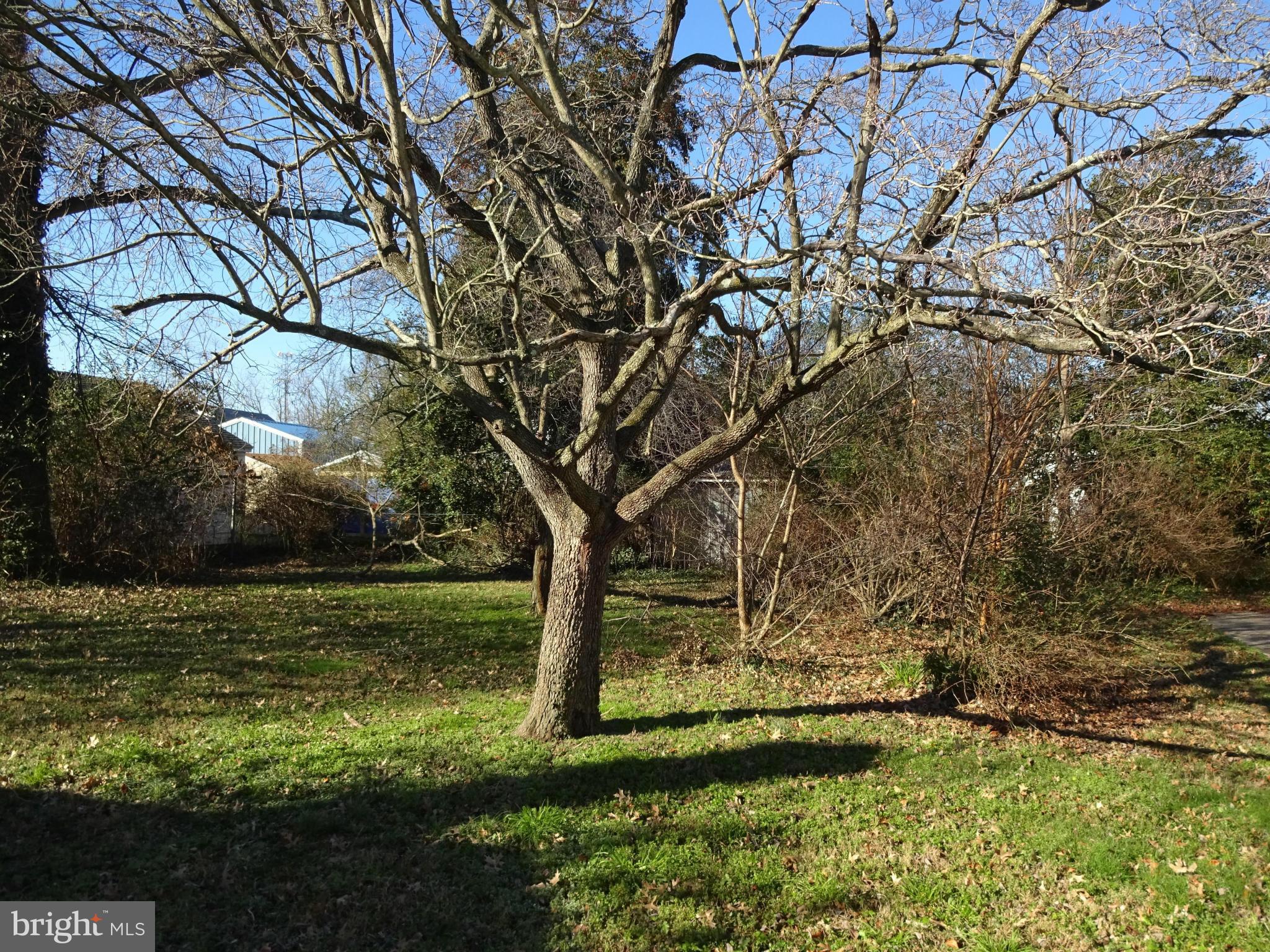 209 Crusader Road Cambridge, MD 21613 - Photo 26 of 30 Back Yard