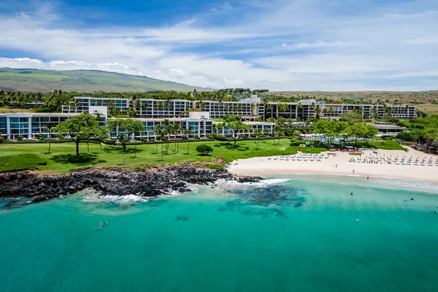 a view of a big yard with a large trees