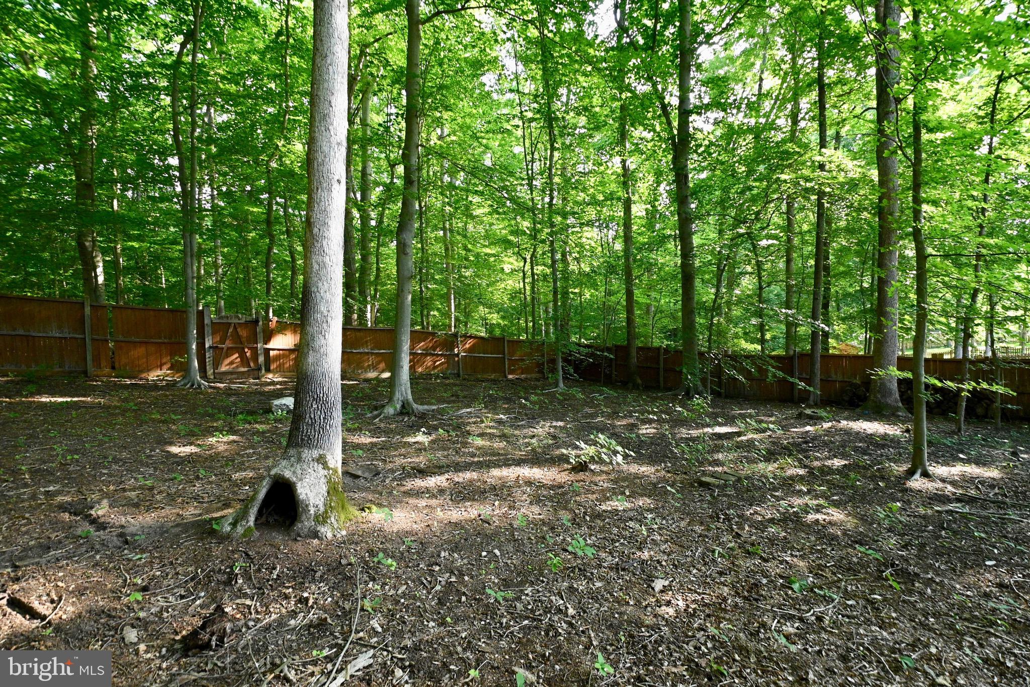 10110 Snowden Road Laurel, MD 20708 - Photo 43 of 56 Backyard