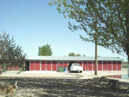 4439 Casey Road Fallon, NV 89406 - Photo 3 of 4