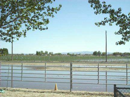 4439 Casey Road Fallon, NV 89406 - Photo 4 of 4