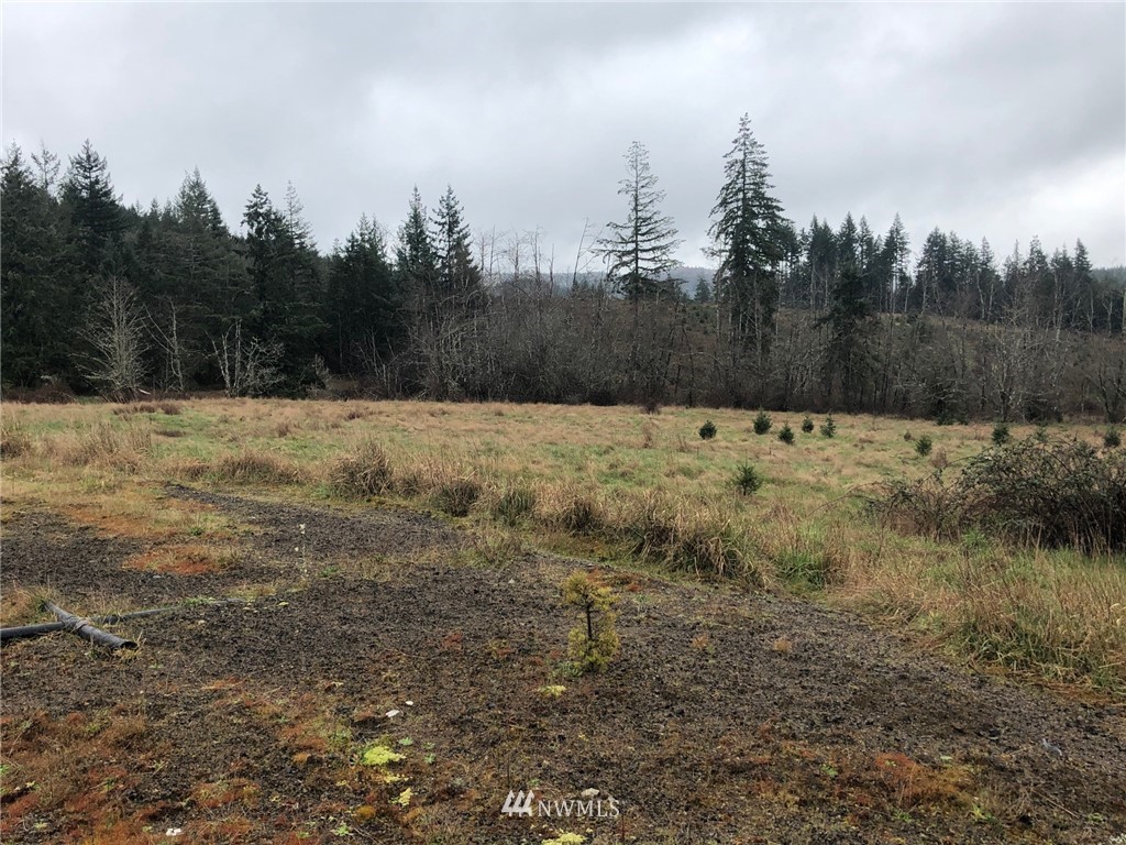 2520 Seminary Hill Road Centralia, WA 98531 - Photo 6 of 9 Gallery Image 6