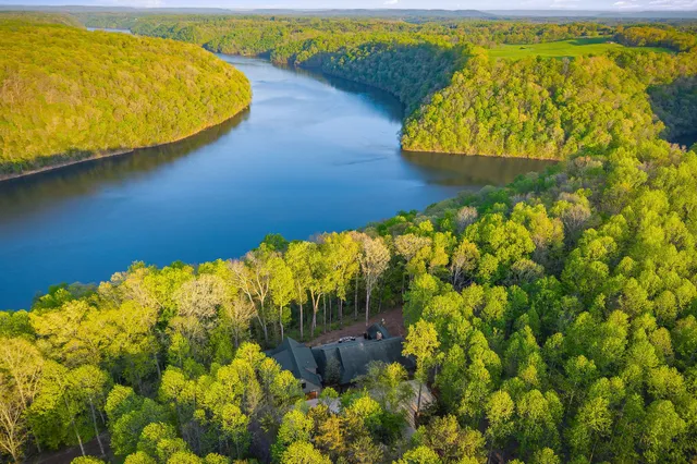 a view of a patio with table and chairs potted plants and large tree