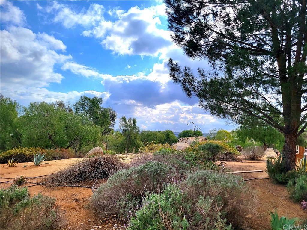 17157 Gamble Avenue Riverside, CA 92504 - Photo 3 of 11 a view of a street with a yard
