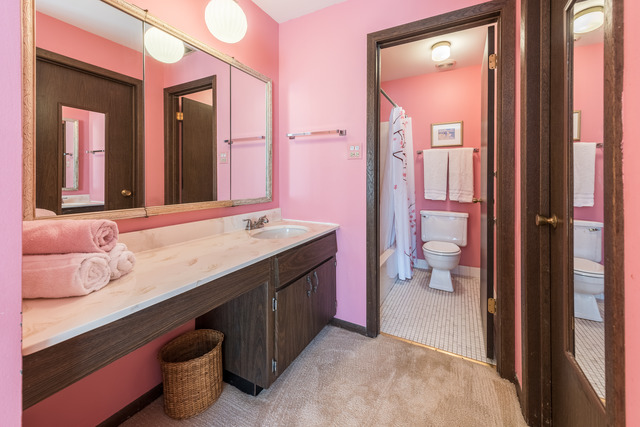 1471 Haverhill Drive, Unit B Wheaton, IL 60189 - Photo 17 of 25 a bathroom with a sink and a mirror