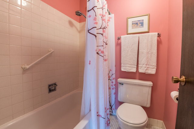 1471 Haverhill Drive, Unit B Wheaton, IL 60189 - Photo 18 of 25 a white toilet sitting next to a bath tub