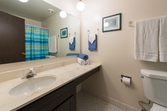 1471 Haverhill Drive, Unit B Wheaton, IL 60189 - Photo 19 of 25 a bathroom with a sink double vanity and a shower