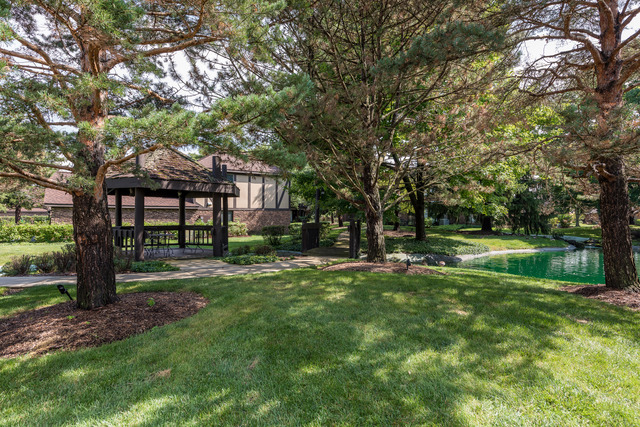 1471 Haverhill Drive, Unit B Wheaton, IL 60189 - Photo 24 of 25 a view of a house with a big yard and large trees