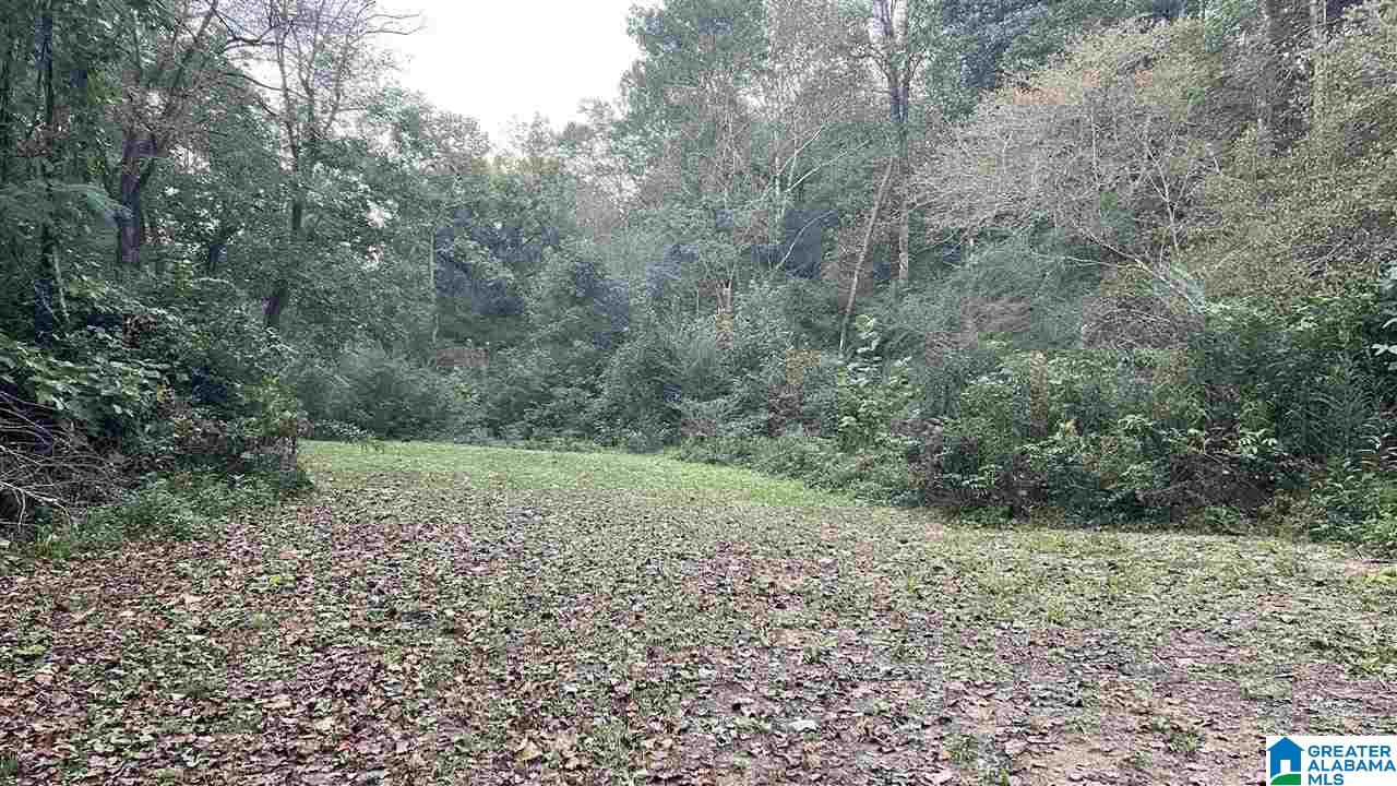 1935 Loop Road Moody, AL 35004 - Photo 5 of 8 Gallery Image 5
