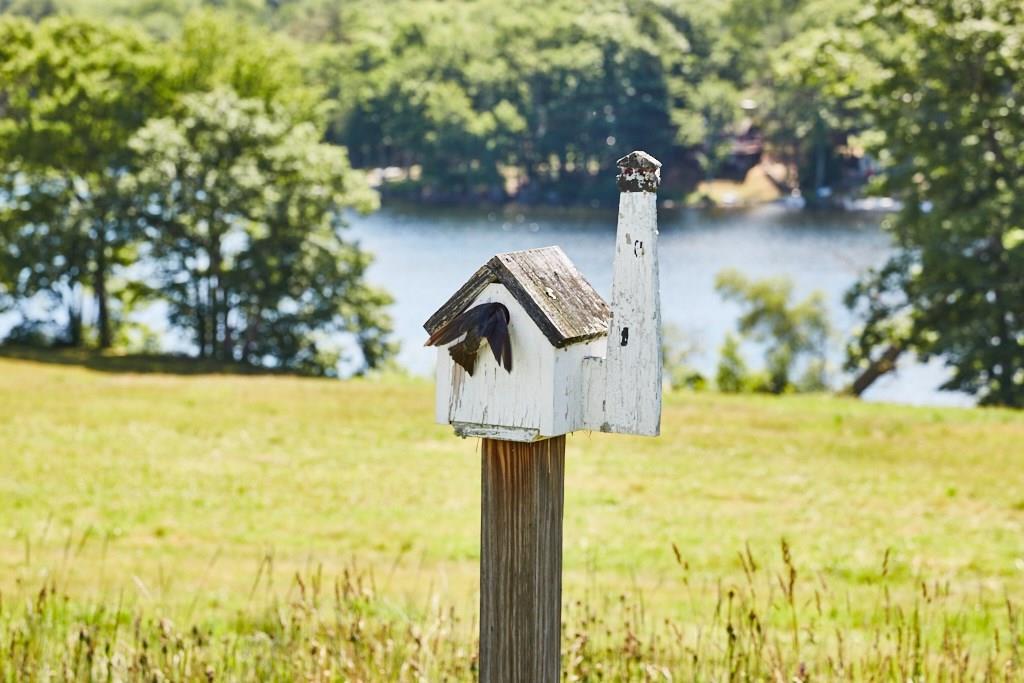 497 East Neck Road Nobleboro, ME 04555 - Photo 23 of 26 Even the birds never want to leave!