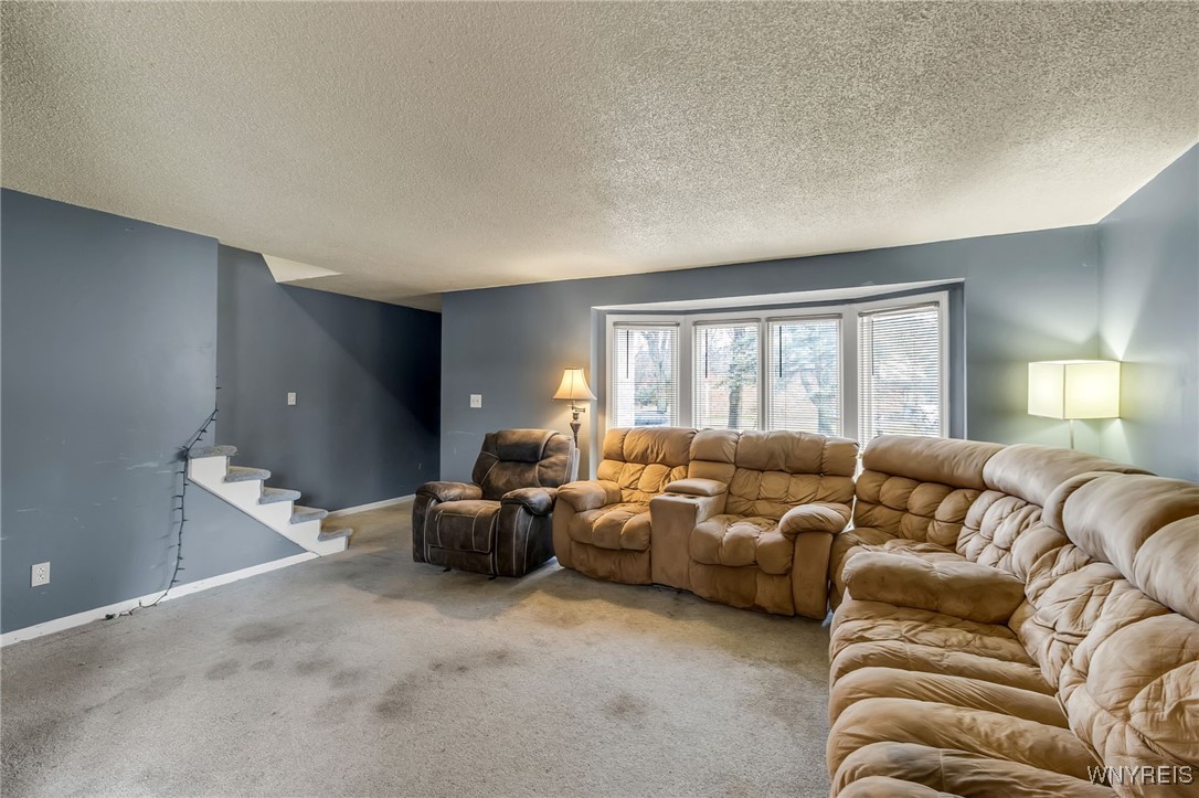 11 Pheasant Run Road Amherst, NY 14228 - Photo 20 of 25