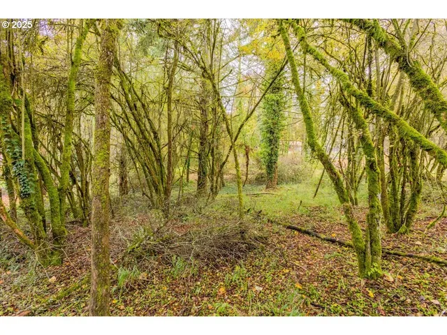 $110,000 | Northwest Miller Lane, Albany, OR 97321