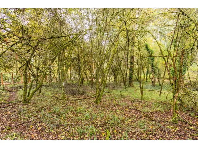 $110,000 | Northwest Miller Lane, Albany, OR 97321