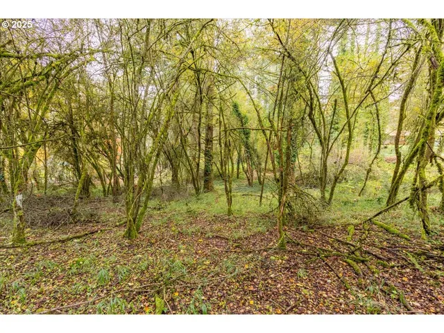 $110,000 | Northwest Miller Lane, Albany, OR 97321