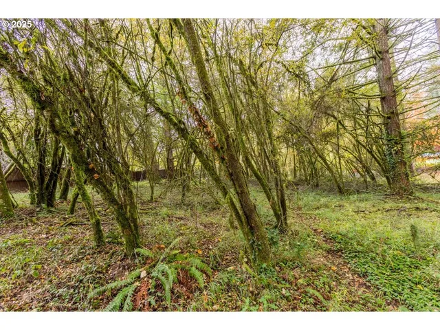 $110,000 | Northwest Miller Lane, Albany, OR 97321