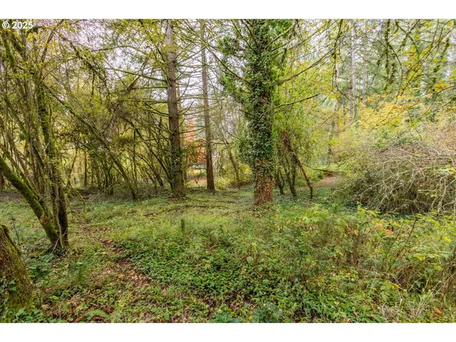 $110,000 | Northwest Miller Lane, Albany, OR 97321