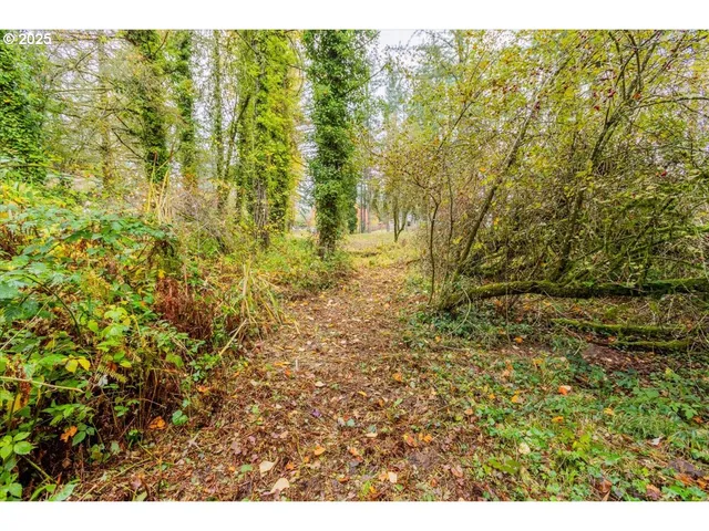 $110,000 | Northwest Miller Lane, Albany, OR 97321