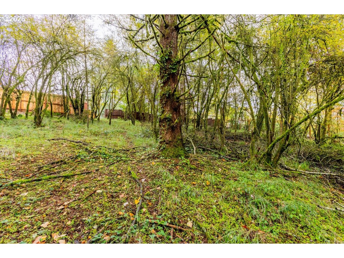 Northwest Miller Lane Albany, OR 97321 - Photo 9 of 19