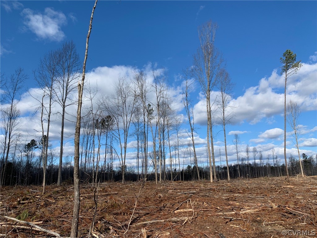 0 Tabscott Road Columbia, VA 23038 - Photo 5 of 10 a view of a park