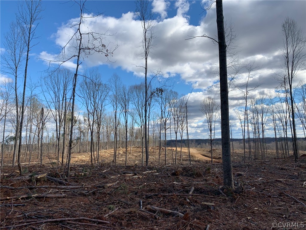 0 Tabscott Road Columbia, VA 23038 - Photo 6 of 10