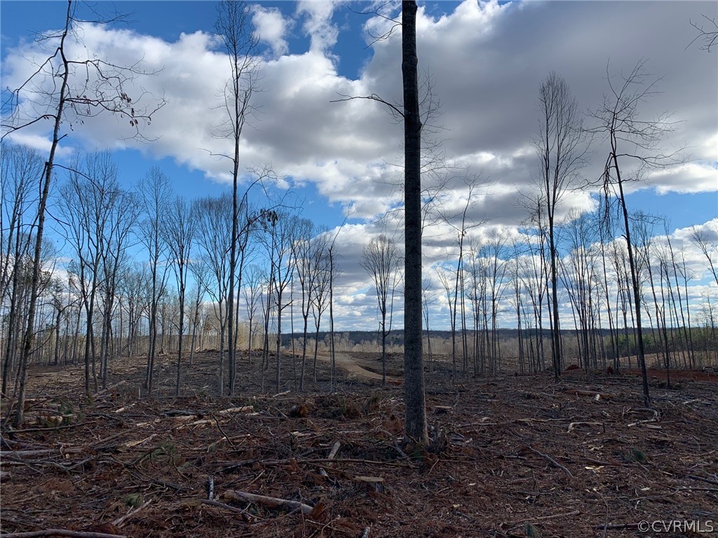 0 Tabscott Road Columbia, VA 23038 - Photo 7 of 10 a view of a pathway of a yard