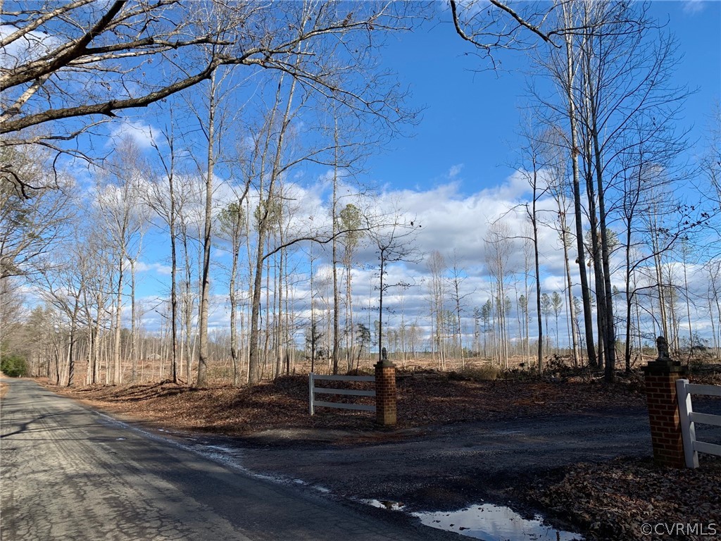 0 Tabscott Road Columbia, VA 23038 - Photo 8 of 10 a view of a city street