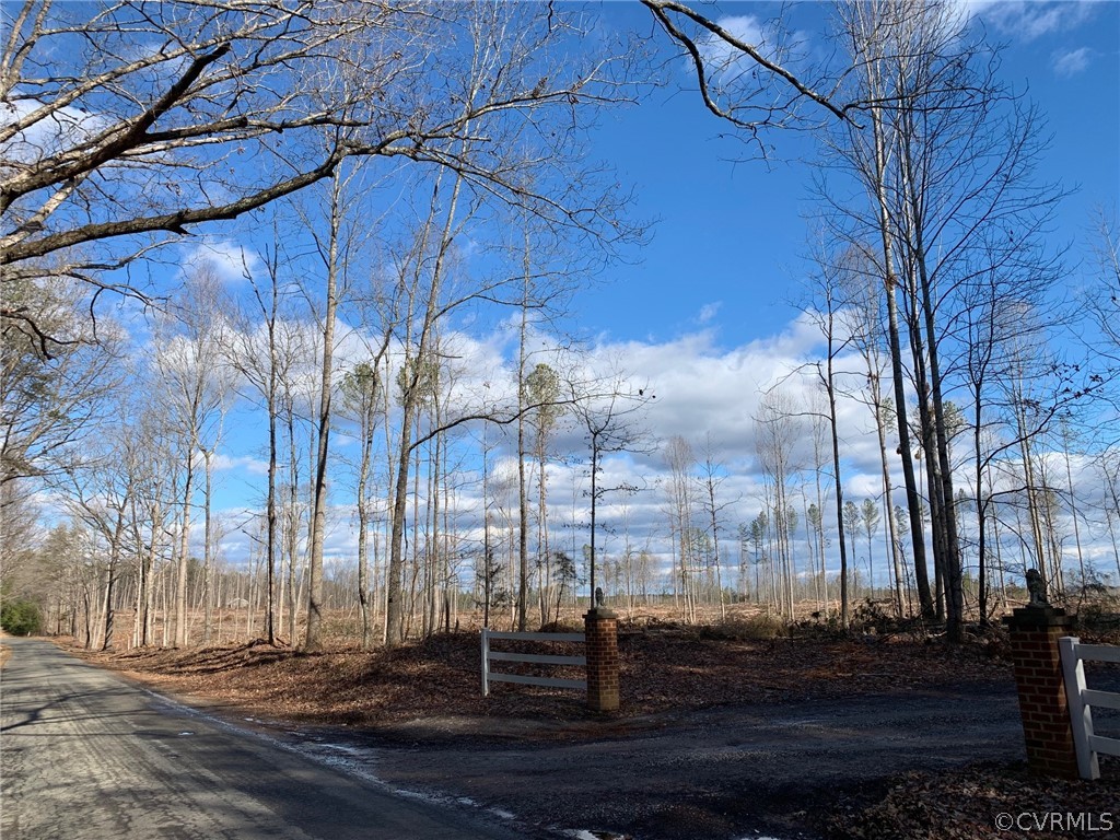 0 Tabscott Road Columbia, VA 23038 - Photo 9 of 10 a view of pathway with a wrought fence