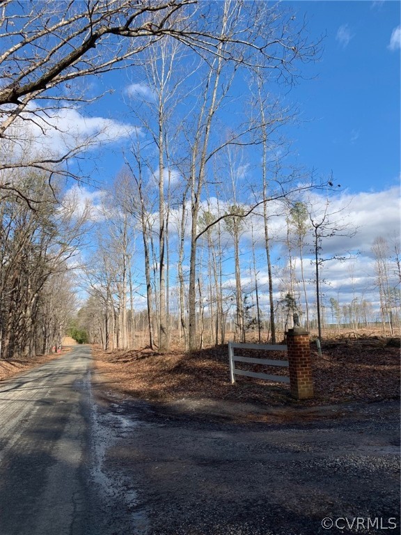 0 Tabscott Road Columbia, VA 23038 - Photo 10 of 10 a view of a yard