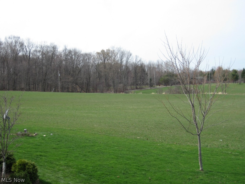 7563 Ballash Road Medina, OH 44256 - Photo 19 of 19 Gallery Image 19