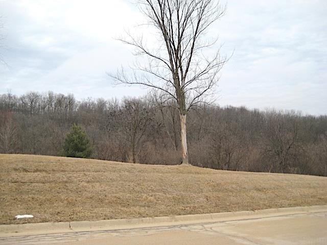Lot 16 Ohmer Ridge McGregor, IA 52157 - Photo 1 of 5 Gallery Image 1