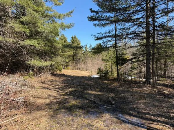 $226,000 | M32 W, Herron, MI 49744