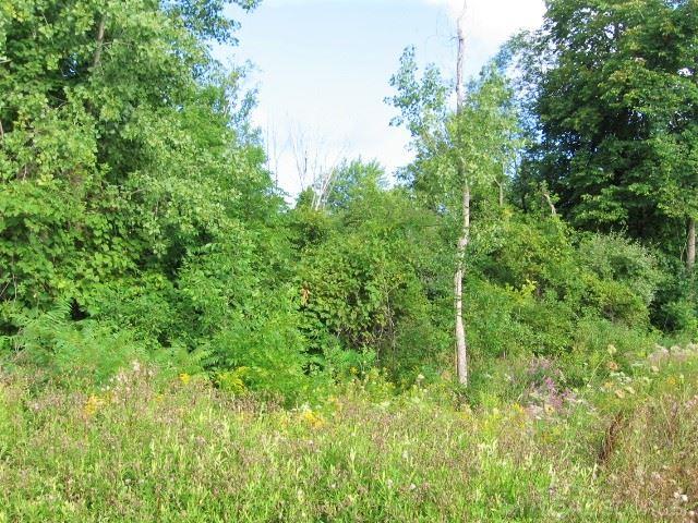 0 Birchtree Road Lexington, MI 48450 - Photo 16 of 19
