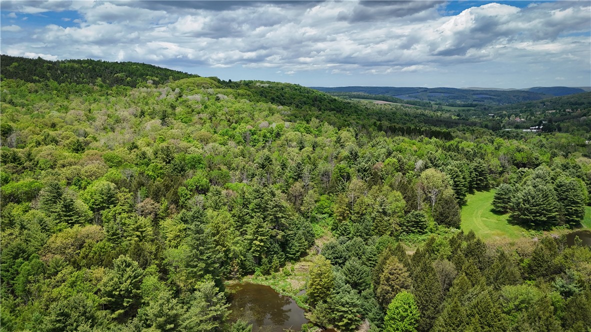 450 Dean Creek Road Spencer, NY 14883 - Photo 46 of 50