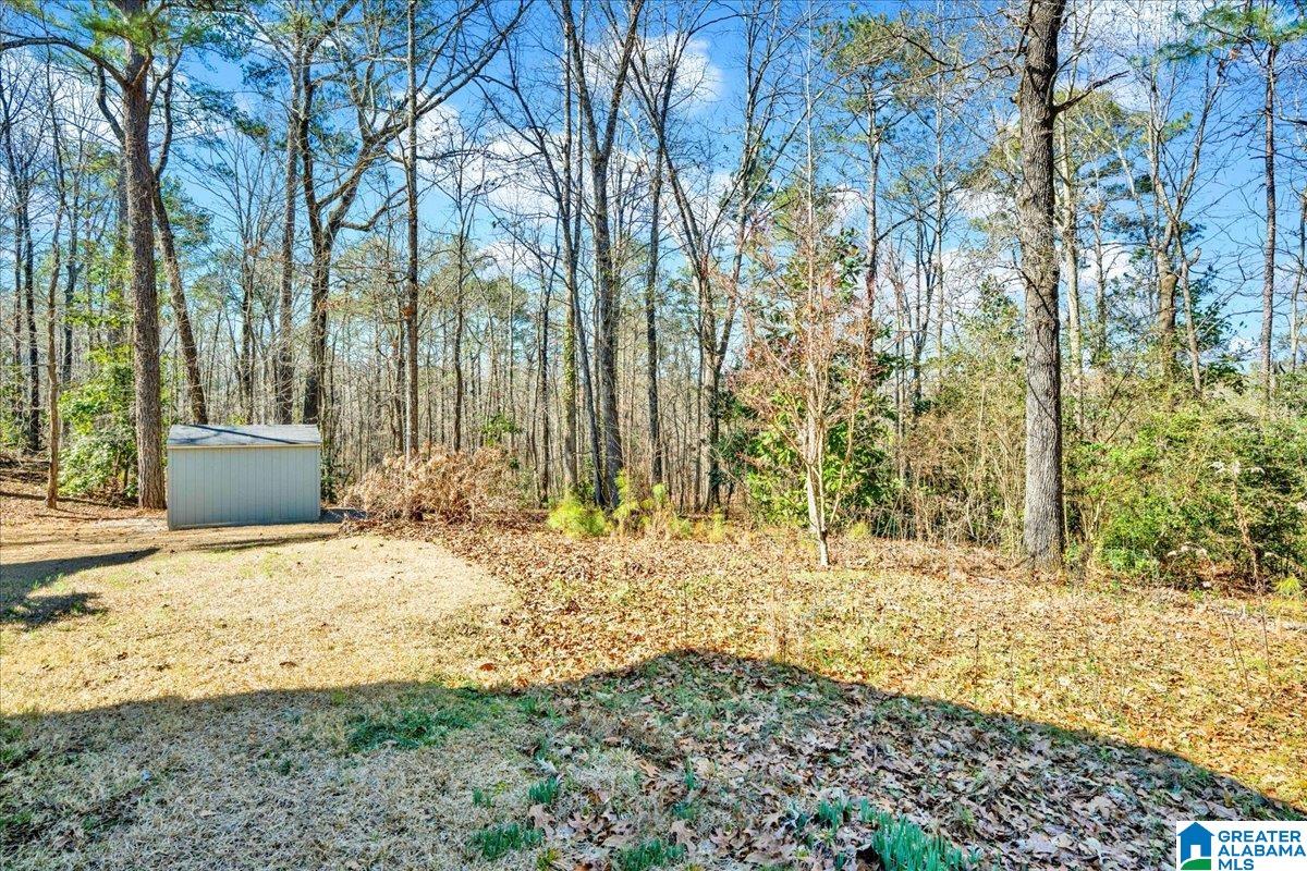 1069 Liberty Road Chelsea, AL 35043 - Photo 48 of 53
