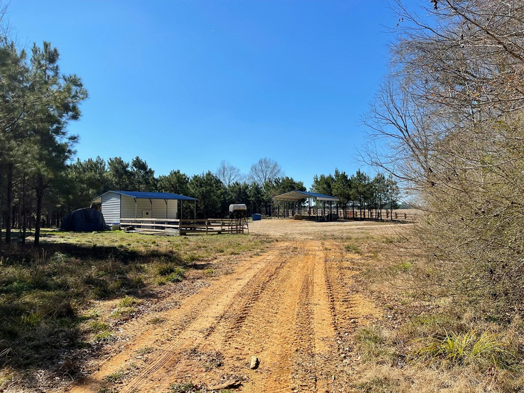 Lot 8 Moss Road Kokomo, MS 39643 - Photo 18 of 25 Photo 18