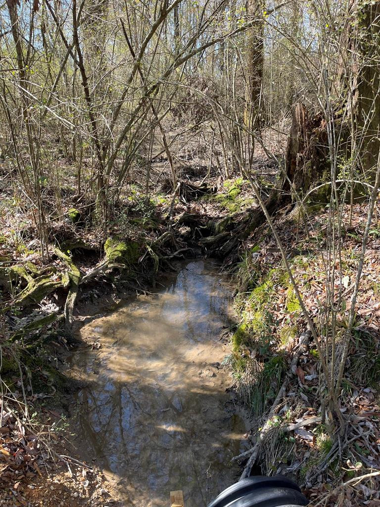 Lot 8 Moss Road Kokomo, MS 39643 - Photo 19 of 25 Photo 19