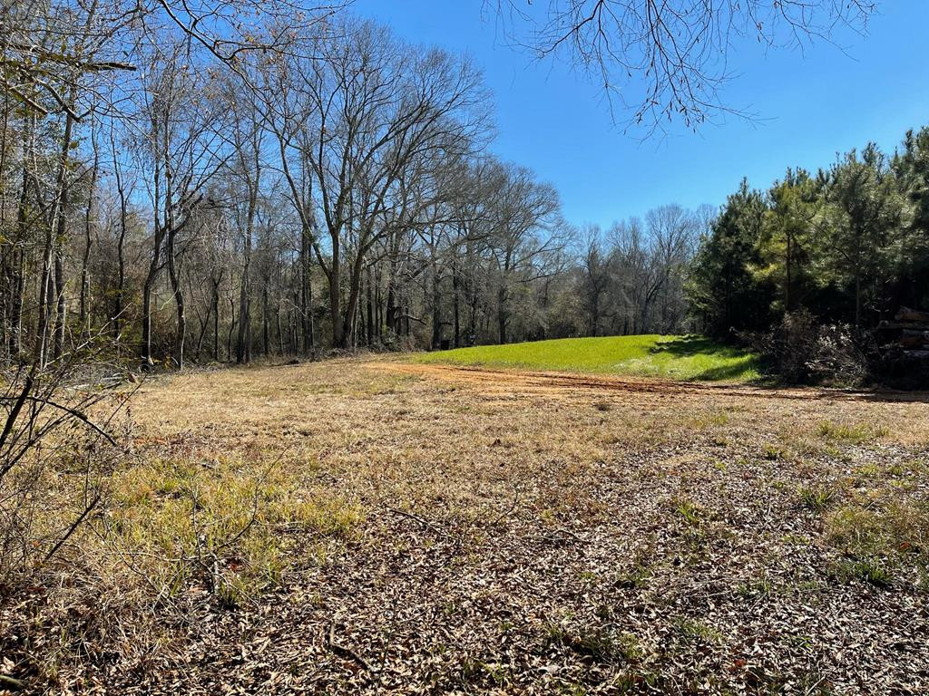 Lot 8 Moss Road Kokomo, MS 39643 - Photo 22 of 25 Photo 22
