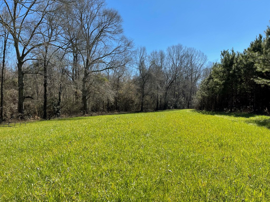Lot 8 Moss Road Kokomo, MS 39643 - Photo 23 of 25 Photo 23
