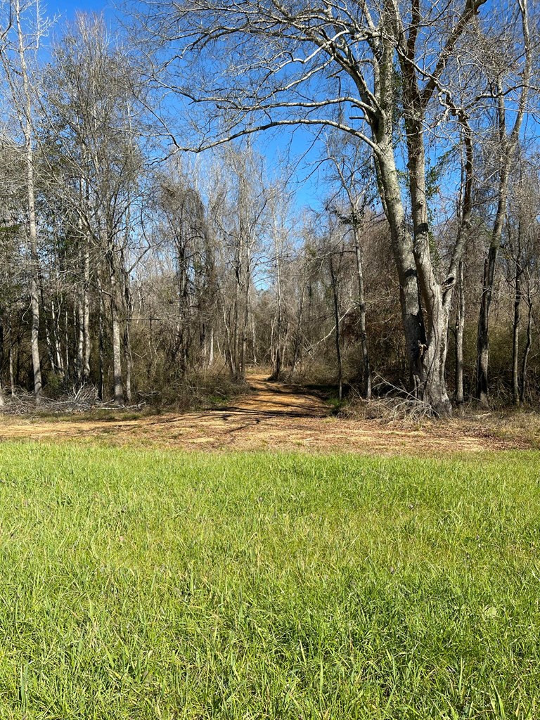 Lot 8 Moss Road Kokomo, MS 39643 - Photo 24 of 25 Photo 24