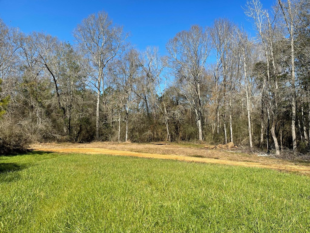 Lot 8 Moss Road Kokomo, MS 39643 - Photo 25 of 25 Photo 25