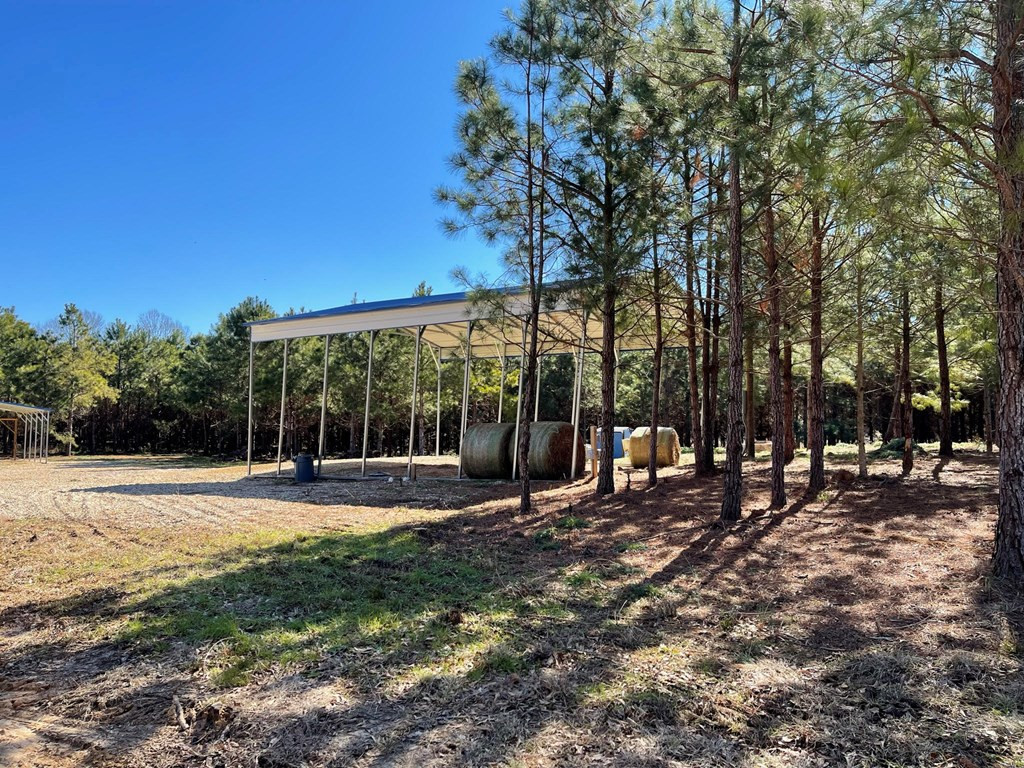 Lot 8 Moss Road Kokomo, MS 39643 - Photo 6 of 25 Photo 6