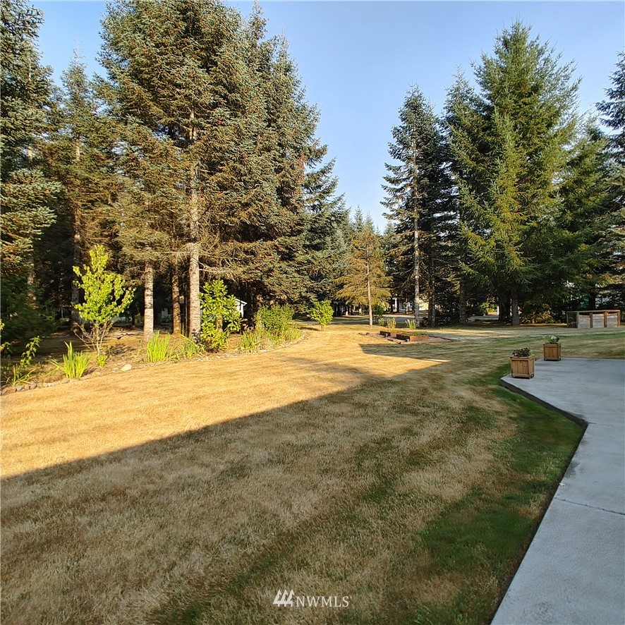 537-29 Larson Road, Unit 2 Silver Creek, WA 98585 - Photo 38 of 39 Gallery Image 38